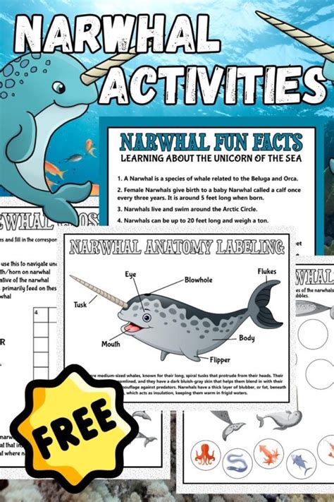 Narwhal Fun Facts & Activities For Kids - Little Bins for Little Hands