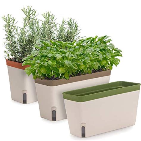 Best Window Sill Planters For Indoor Plants