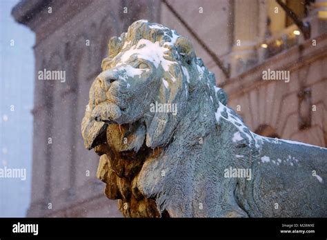 Chicago, USA. 5th Feb, 2018. A bronze lion statue is covered with snow ...