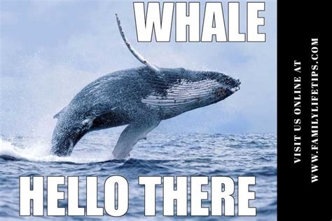 Whale Meme: Whale, Hello There! | Family Life Tips Magazine: Parenting ...