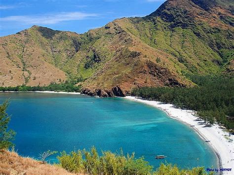 Anawangin Beach Cove in Zambales | Beach island resort, Philippines ...