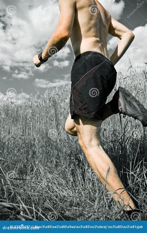 Man Running Cross Country on Trail Stock Image - Image of adventure ...