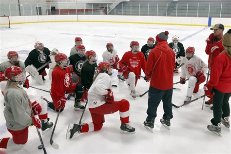 Luverne girls hockey team is coming on fast - The Globe | News, weather, sports from Worthington ...