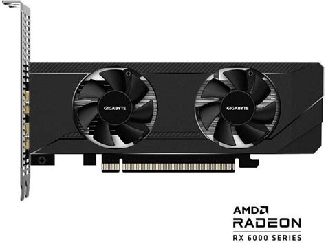 ASUS ROG Strix NVIDIA GeForce RTX 3090 EVA Edition vs Gigabyte Radeon ...