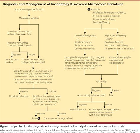 Figure 3 from Assessment of asymptomatic microscopic hematuria in ...