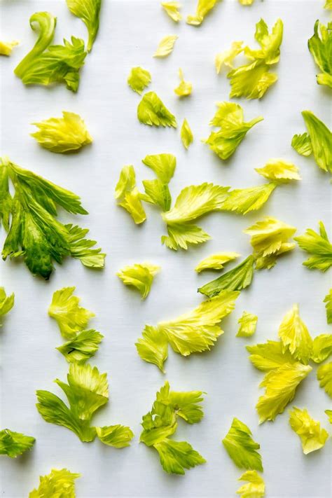 Homemade Celery Salt Recipe | Culinary Hill