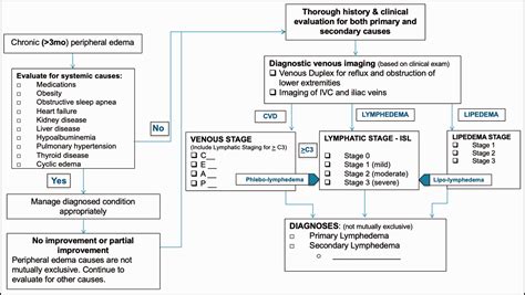 Bilateral Peripheral Edema