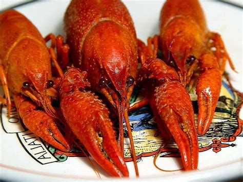 5 Crawfish Festivals You’ll Want to Taste for Yourself | Drive The Nation