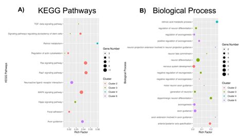 This figure shows the KEGG database and biological processes that are... | Download Scientific ...