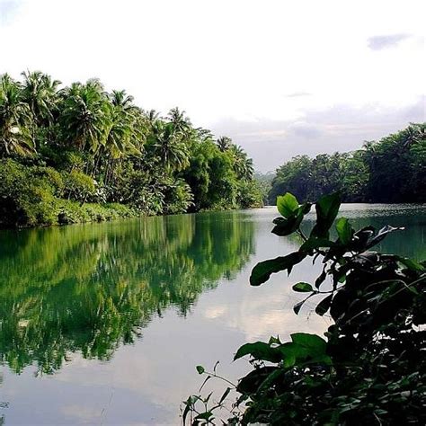 Indonesia's New Emission-Reduction Strategy To Emphasize Clean Energy, De-Emphasize Forests ...