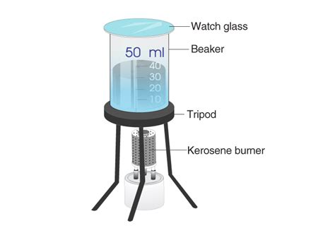 Crystallization Experiment