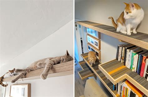 Cat Library Custom Cat Climbing Shelves, Great Catification Inspiration! | Cat climbing shelves ...