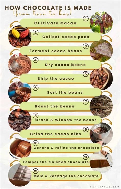 How is Chocolate Made? (12 Steps With Pictures)