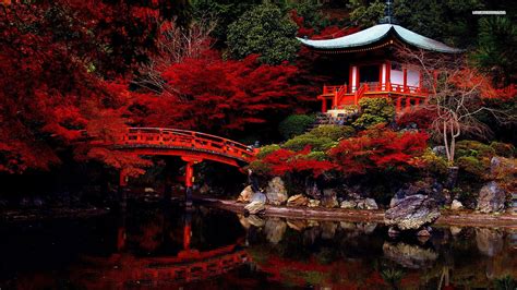 Autumn in the japanese garden wallpaper | Giappone, Luoghi, Architettura