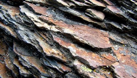 How to Tell the Difference Between Shale and Slate | Sciencing