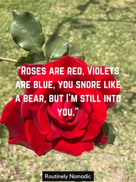 125 Best Roses are Red Violets are Blue Poems | Routinely Nomadic