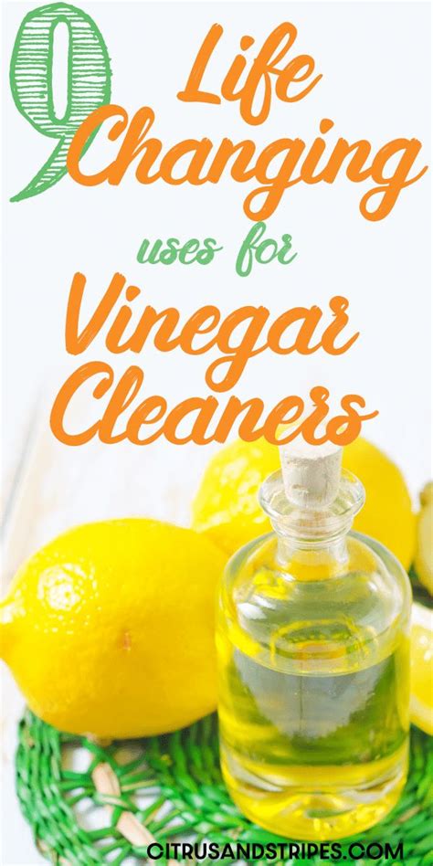 Brilliant Uses for Vinegar + A Homemade Cleaner Recipe | Vinegar uses, Cleaner recipes, Vinegar ...