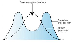 Even More Information - Evolution 101