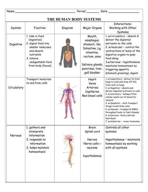 Body Systems Interactions chart