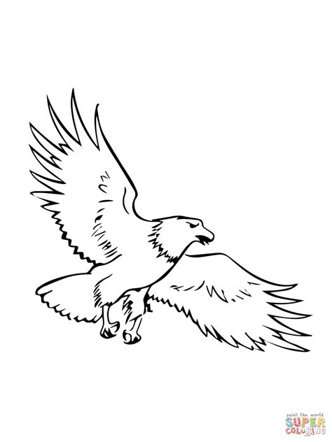 Soaring Bald Eagle coloring page | Free Printable Coloring Pages