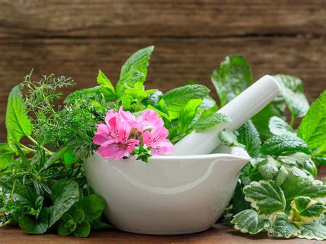 Immunity boosting herbs: 5 herbs that you can consume during quarantine for better immunity