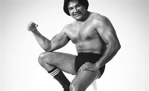 Chavo Guerrero, Sr. Passes Away – Online World of Wrestling