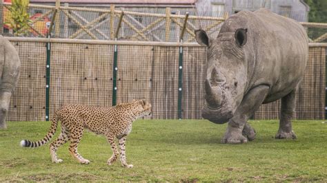 5 Yorkshire Zoos You Can Now Visit | Leeds-List