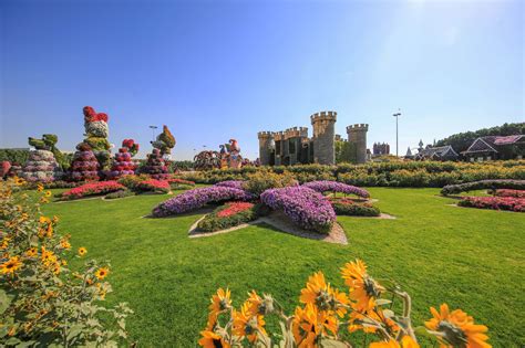 Dubai Miracle Garden | A Mega Flower Garden in Dubai | Visit Dubai