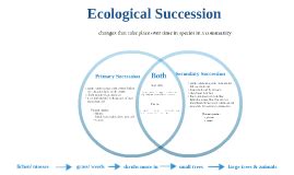 Primary And Secondary Succession Venn Diagram