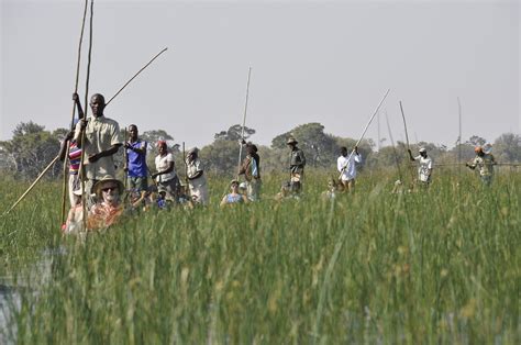 Mokoro safari in the Okavango Delta (Botswana)