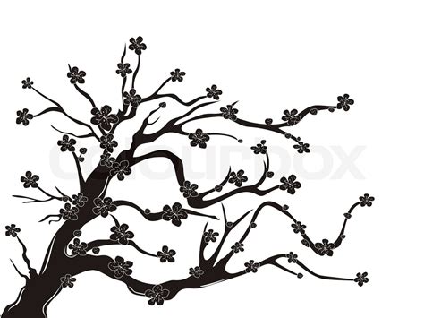 cherry blossom tree silhouette | Stock vector | Colourbox