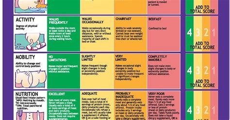 Braden Scale Printable