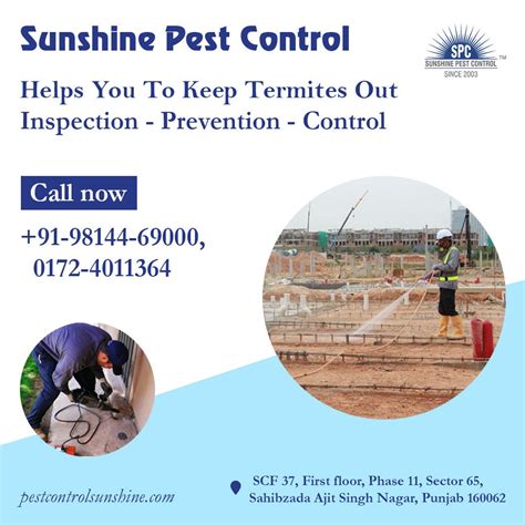 Best Service to Control Termites- Sunshine Pest Control - Sunshine Pest Control(Mr. Arshi Singh ...