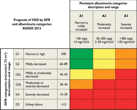 ALBUMINURIA (A) STAGES AND GLOMERULAR FILTRATION RATES (GFRS) IN... | Download Scientific Diagram