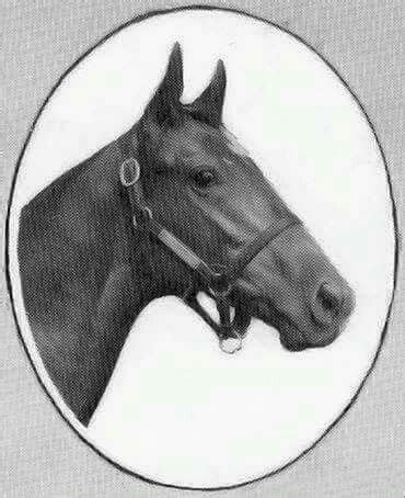 War Admiral American Pharoah, Triple Crown Winners, Admiral, Horse ...