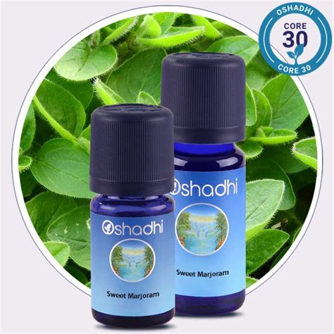 Sweet Marjoram Essential Oil - Oshadhi Essential Oils