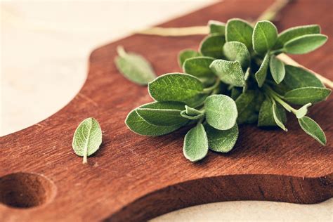 Cooking With Fresh and Dried Sage