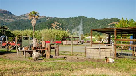 Calistoga Hot Springs Tours - Book Now | Expedia