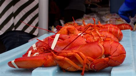 Maine Lobster Festival | Destinations Magazine