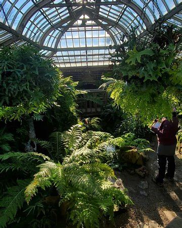 Morris Arboretum (Philadelphia) - 2020 All You Need to Know BEFORE You Go (with Photos ...