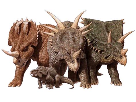 These Dinosaurs were Metal https://dino.wikia.org/wiki/Ceratopsian : r/Naturewasmetal