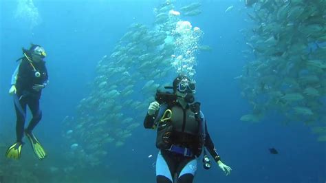 Diving at Balicasag island. Panglao, Bohol, Philippines - YouTube