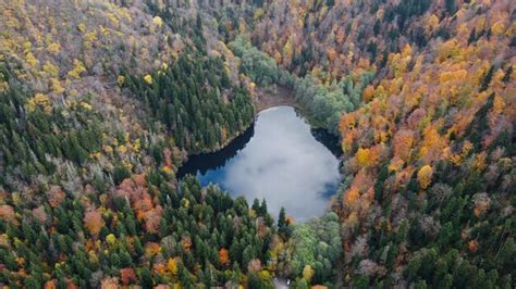 Premium Photo | Autumn forest and lake aerial view