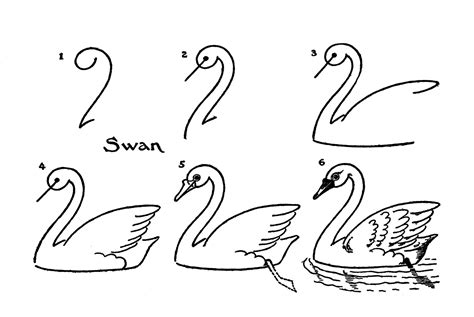 Cart Before The Horse: Draw Some Birds