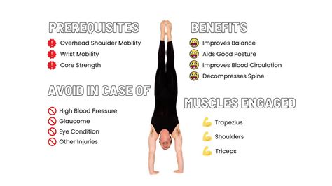 TOP Handstand Benefits And Muscles Worked | CALISTHENICS Workouts & Equipment