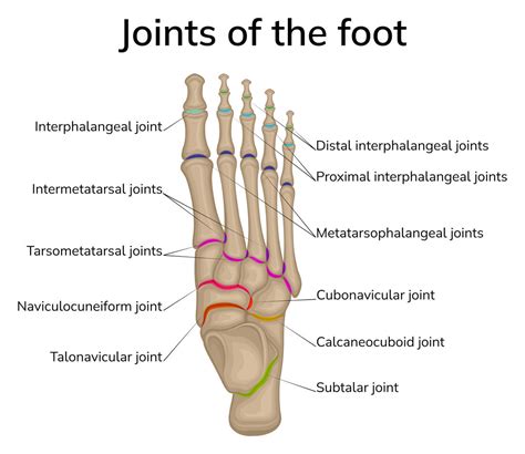 Midfoot Foot Pain | Matthew Appleton