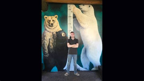 Polar Bear Vs Grizzly Bear Size Comparison