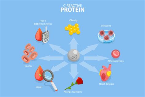 Chronic Inflammation: Science-Based Insights and 8 Steps to Reduce it ...