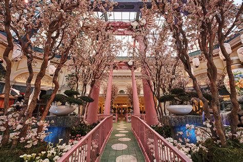 Bellagio’s Conservatory & Botanical Gardens Celebrates Japan With ...