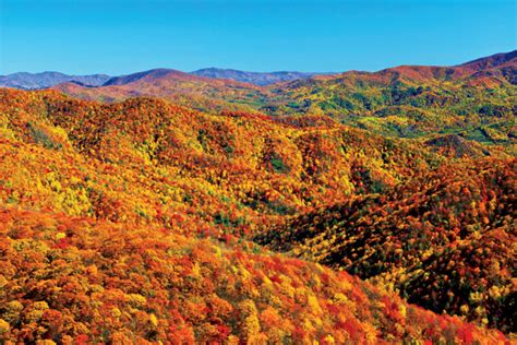 6 Places to Fall for Foliage in Tennessee - Page 4 of 6 - Tennessee Home and Farm